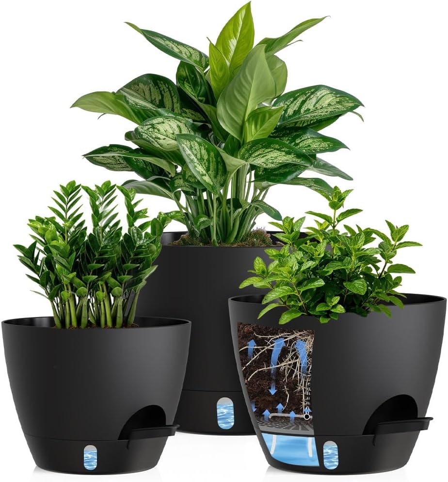 Self-Watering Pots with Drainage Holes, 3 Pack, 8 to 12 inch