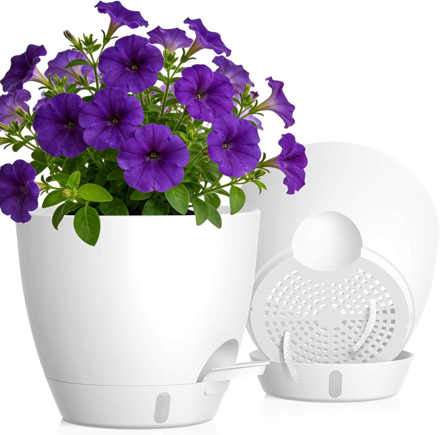 Self-Watering Pots with Drainage Holes, 3 Pack, 8 to 12 inch
