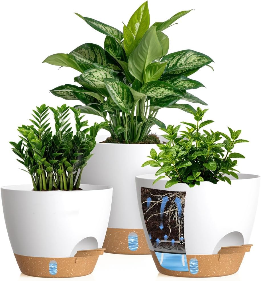 Self-Watering Pots with Drainage Holes, 3 Pack, 8 to 12 inch