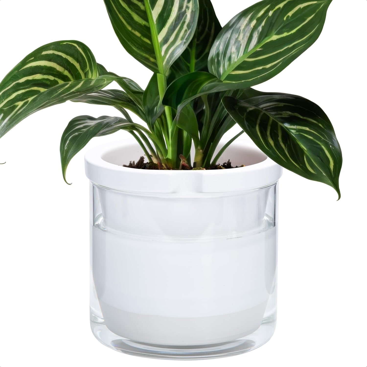 Self-Watering Terracotta Planter, 8 inch