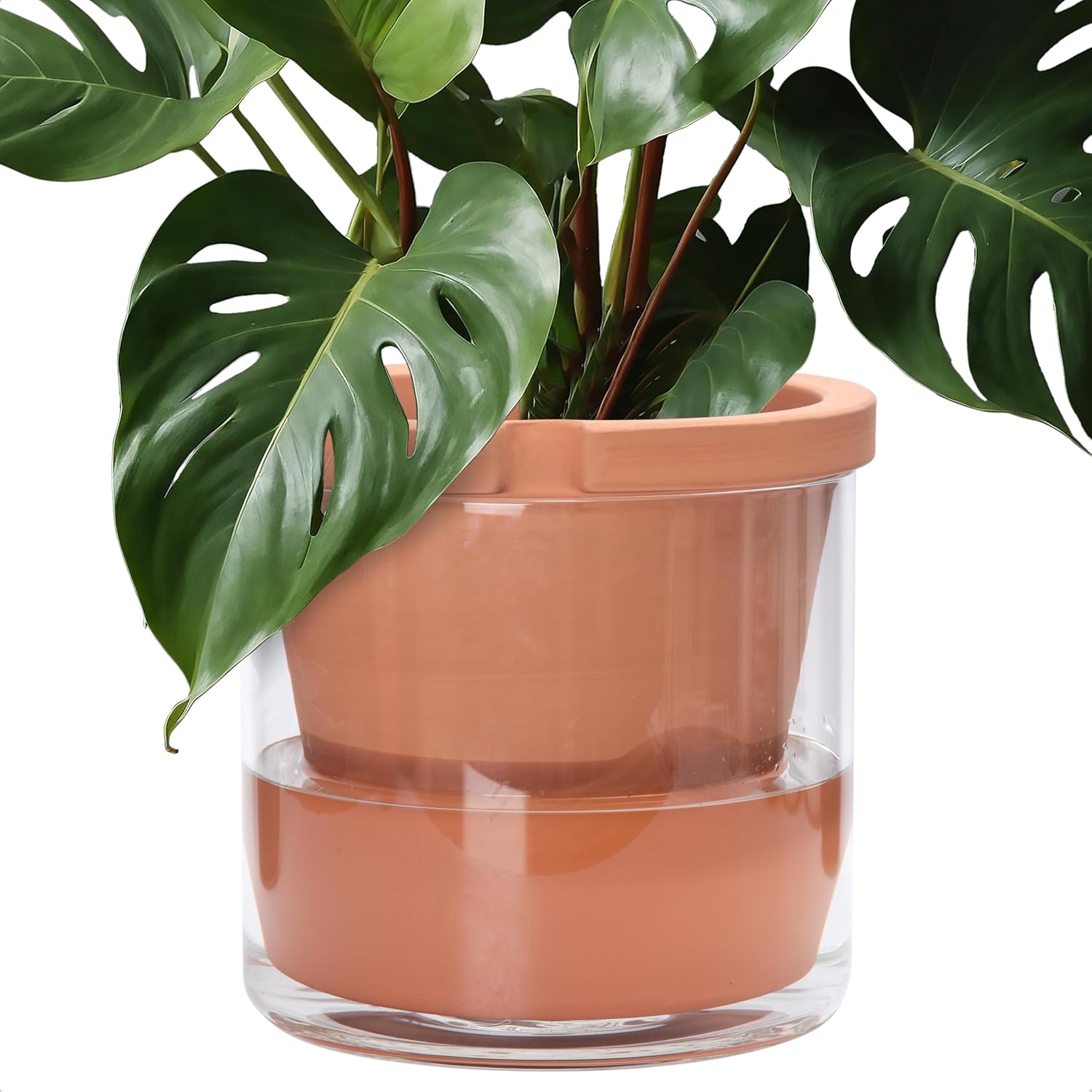 Self-Watering Terracotta Planter, 8 inch