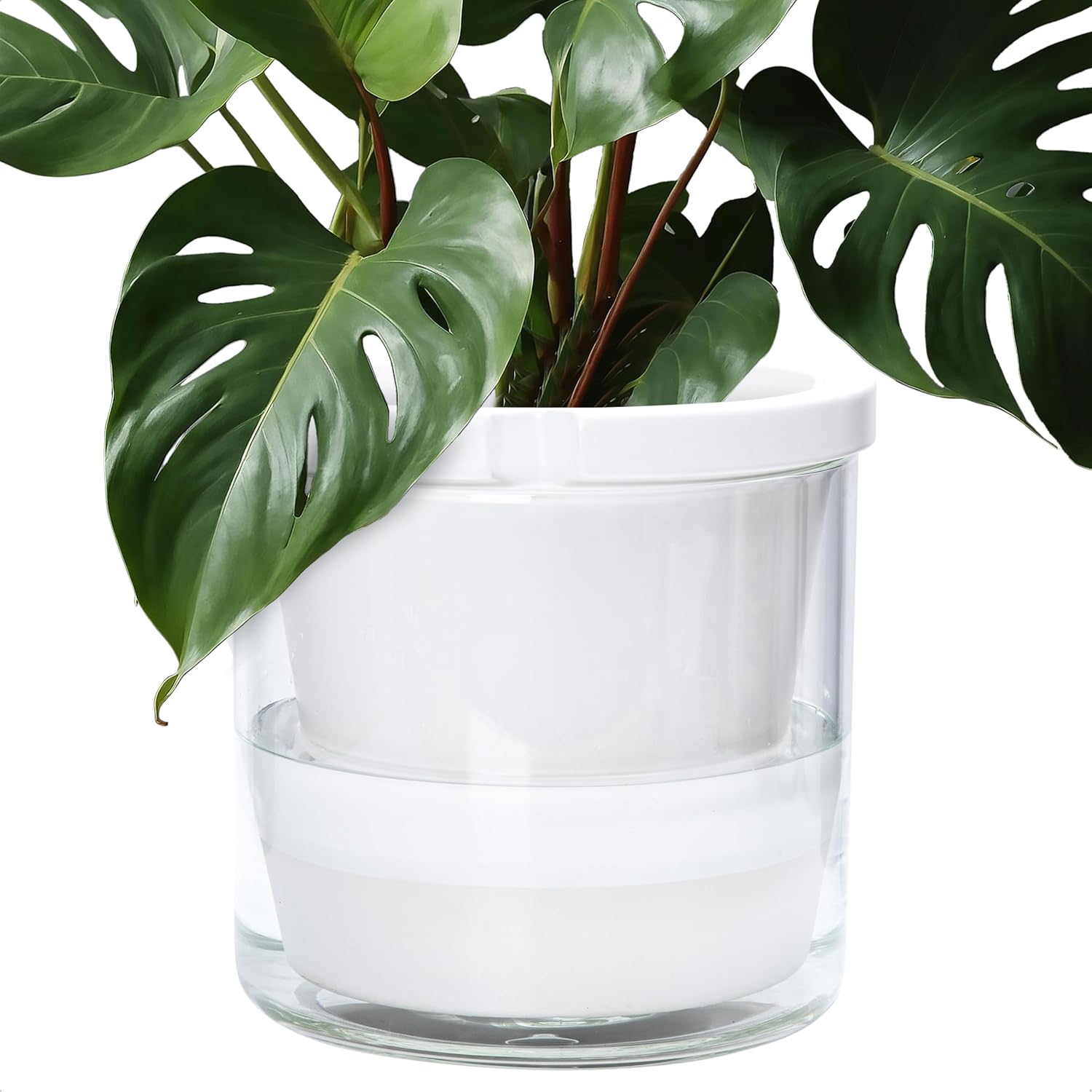 Self-Watering Terracotta Planter, 8 inch