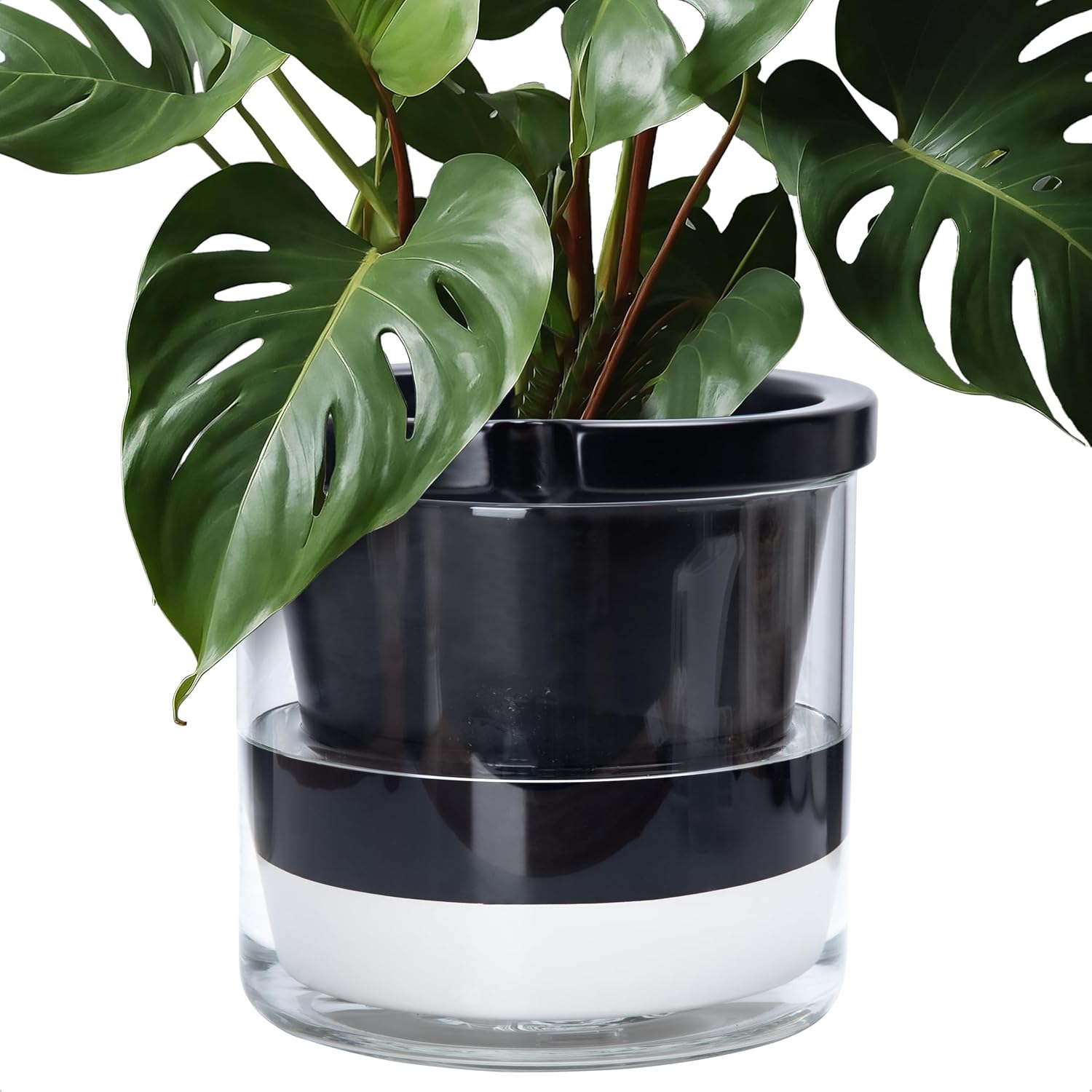 Self-Watering Terracotta Planter, 8 inch