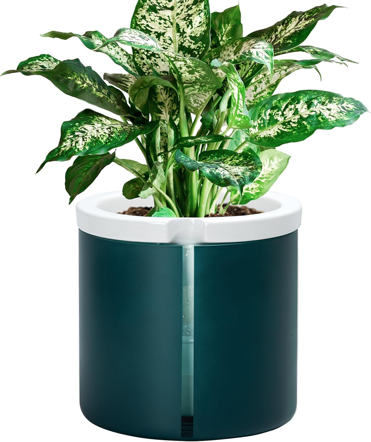 Self-Watering Terracotta Planter, 8 inch