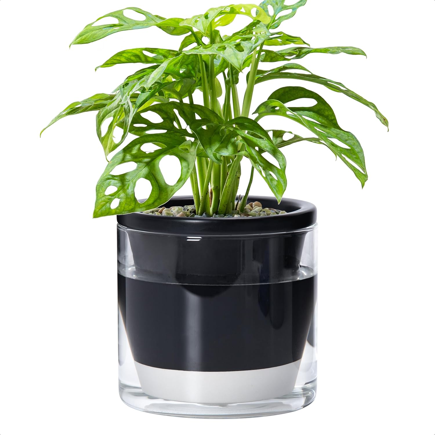 Self-Watering Terracotta Planter, 8 inch
