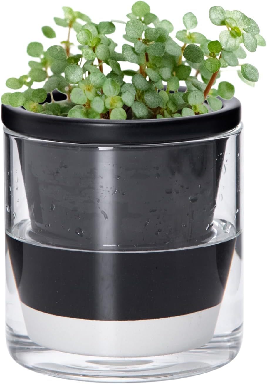 Self-Watering Terracotta Planter, 8 inch