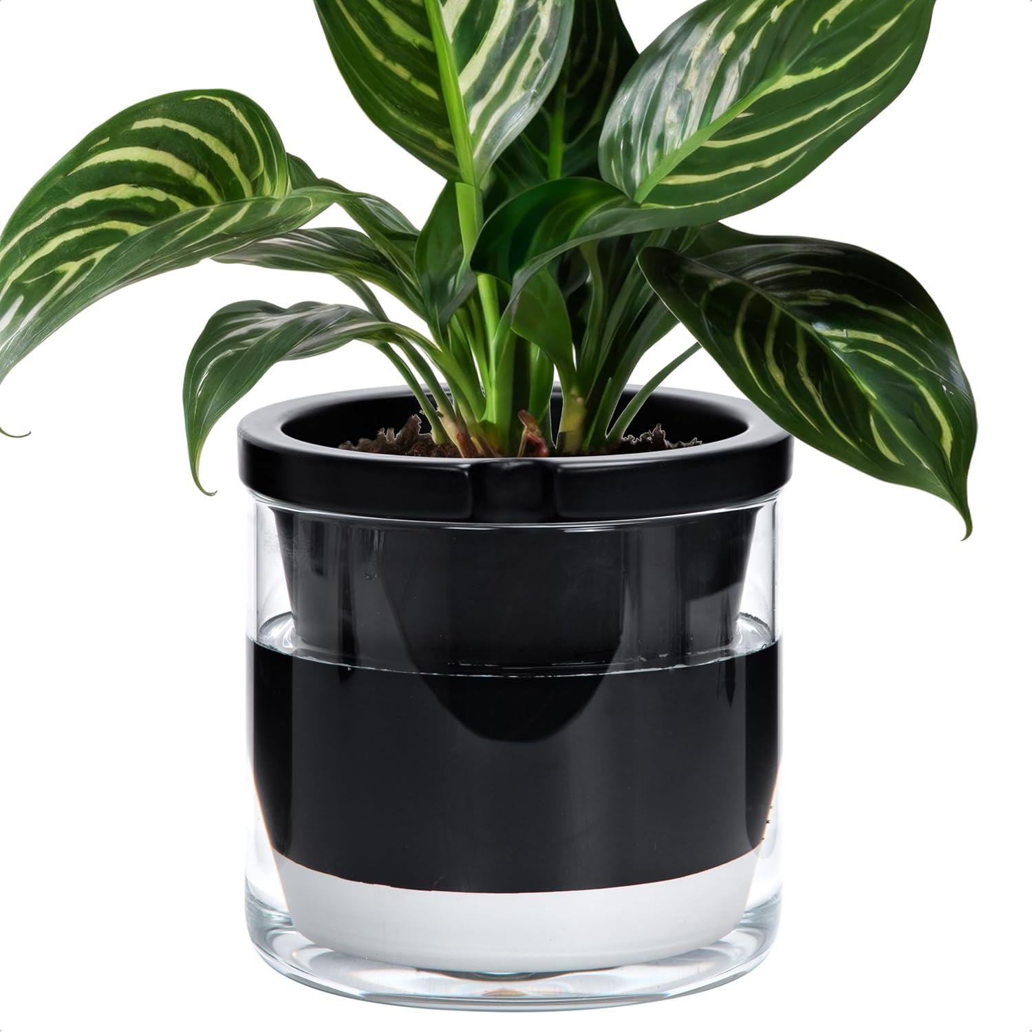 Self-Watering Terracotta Planter, 8 inch