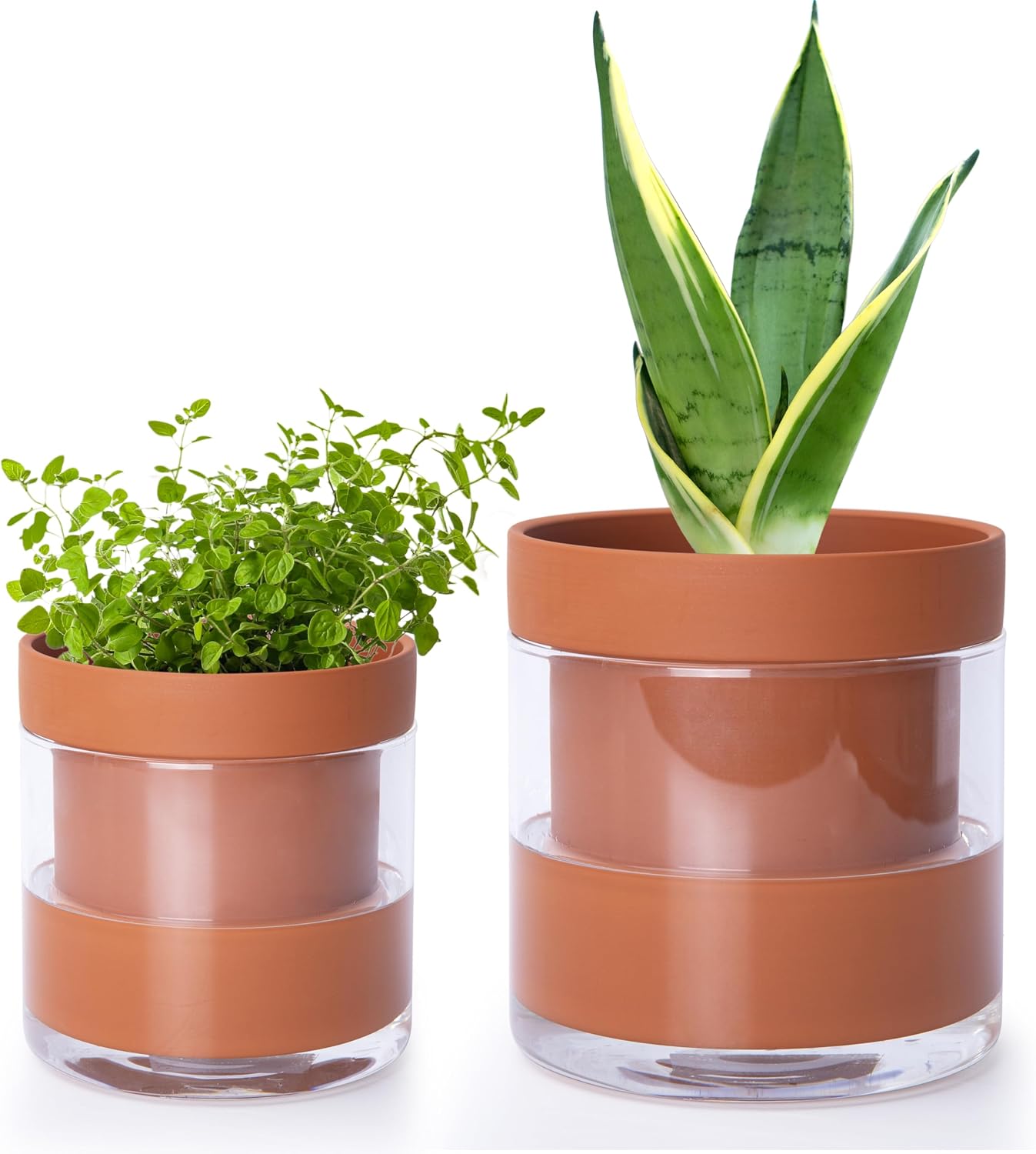 Self-Watering Terracotta Pot with Glass Reservoir, 4 inch