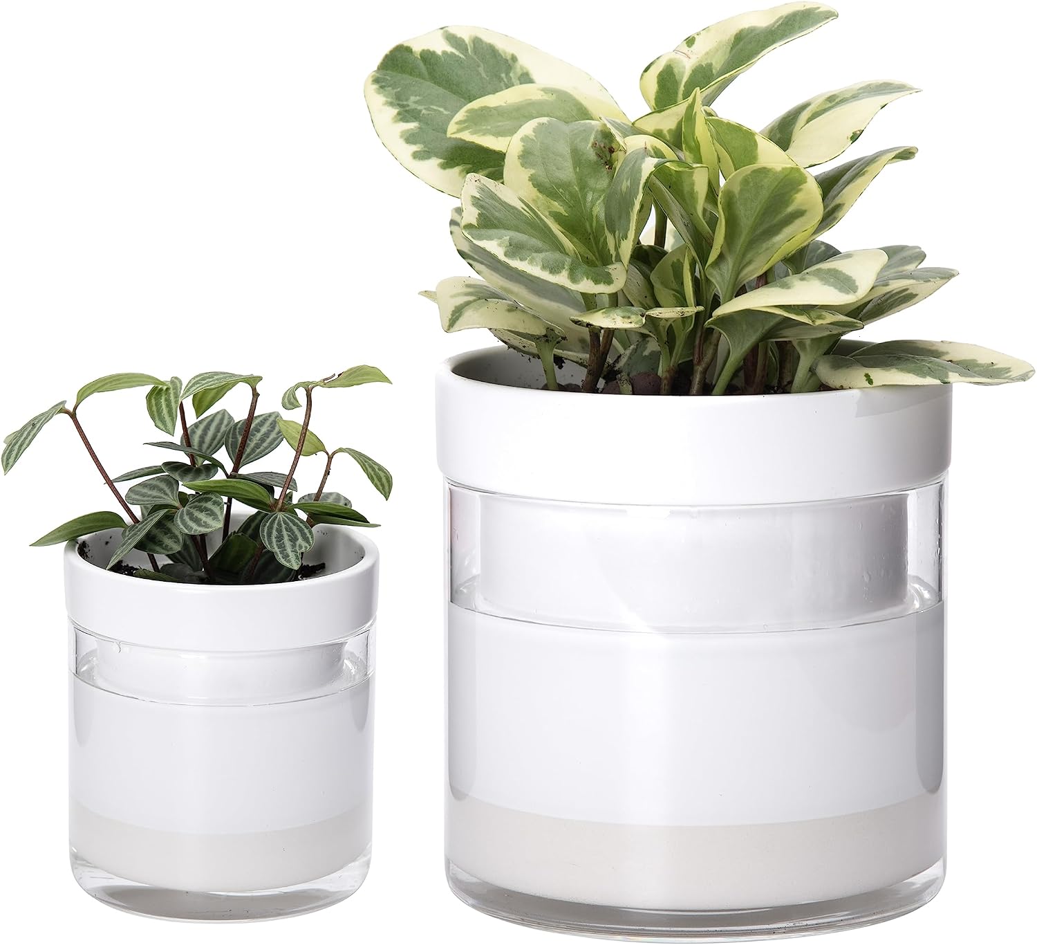 Self-Watering Terracotta Pot with Glass Reservoir, 4 inch