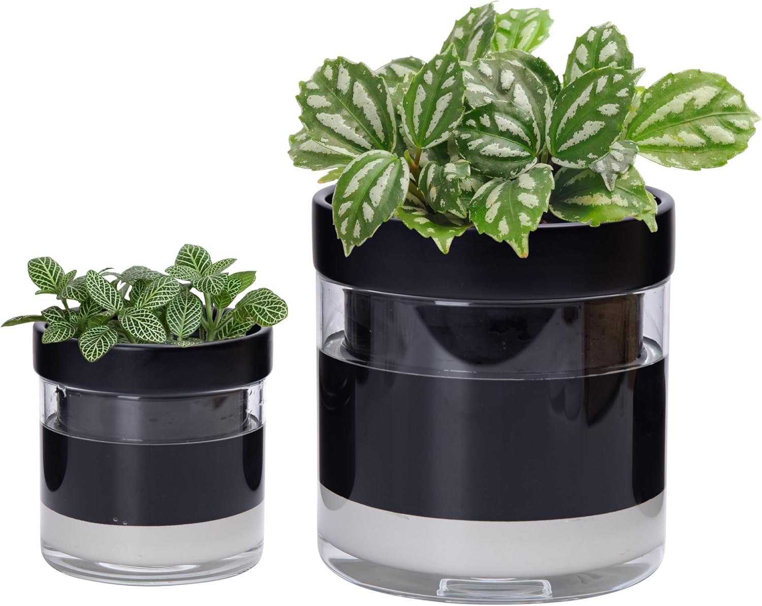 Self-Watering Terracotta Pot with Glass Reservoir, 4 inch