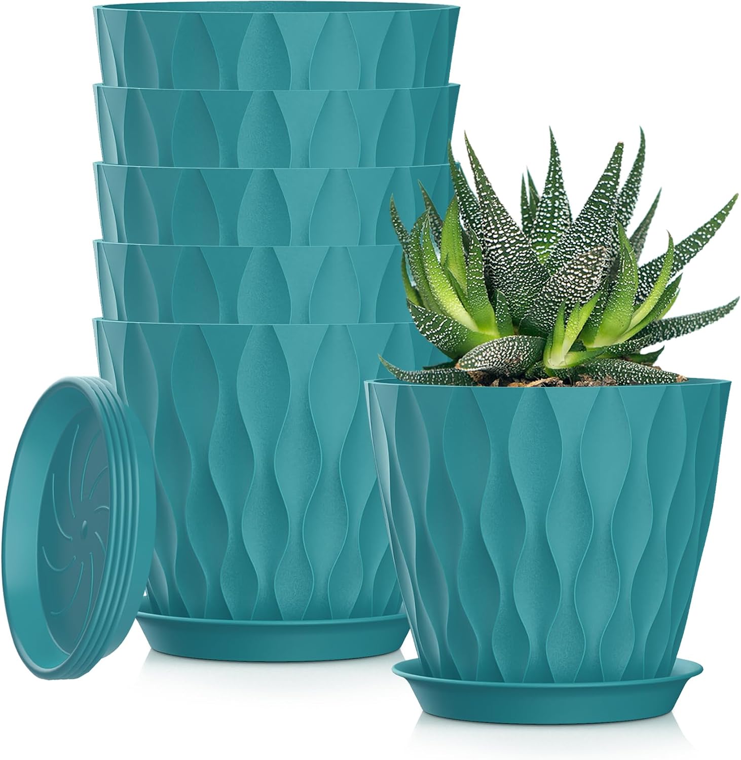 Small Indoor Flower Pots, 6 Pack, 4 inch