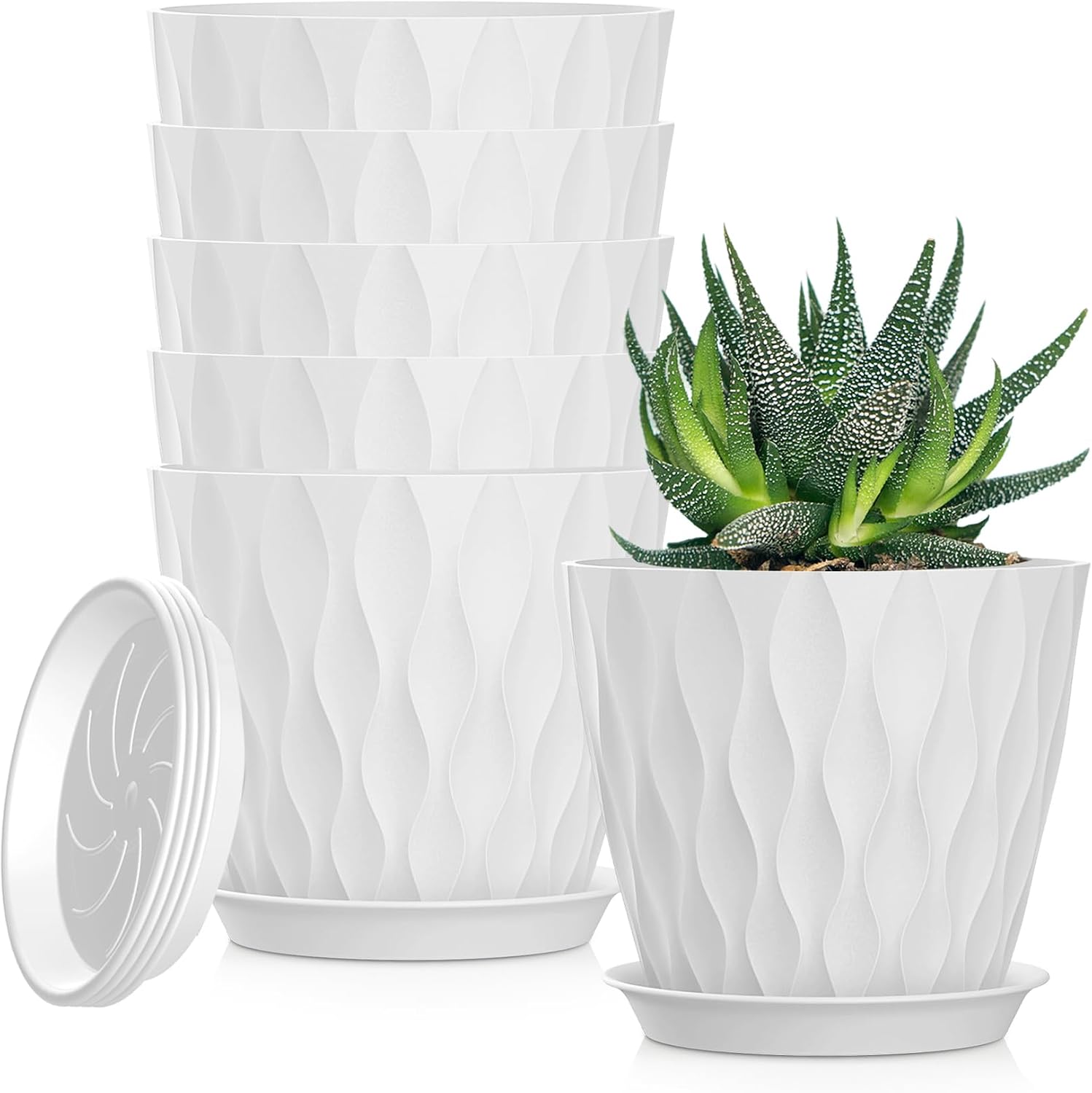 Small Indoor Flower Pots, 6 Pack, 4 inch