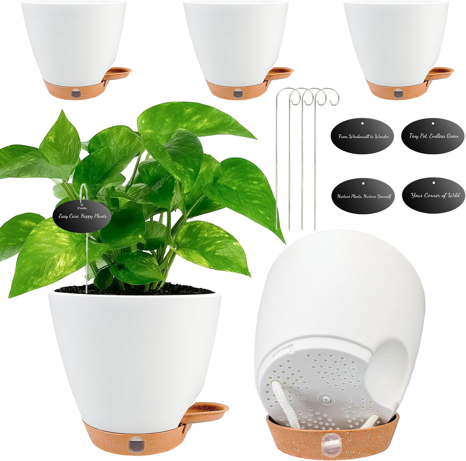 Small Self-Watering Pots, 5 Pack, 6 inch