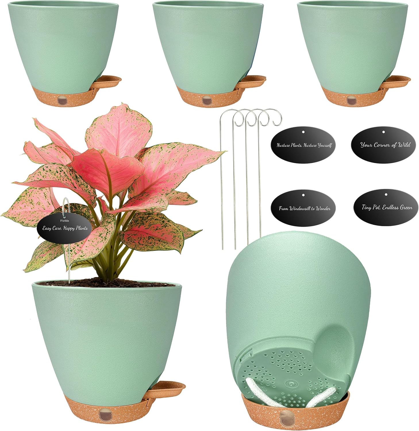 Small Self-Watering Pots, 5 Pack, 6 inch