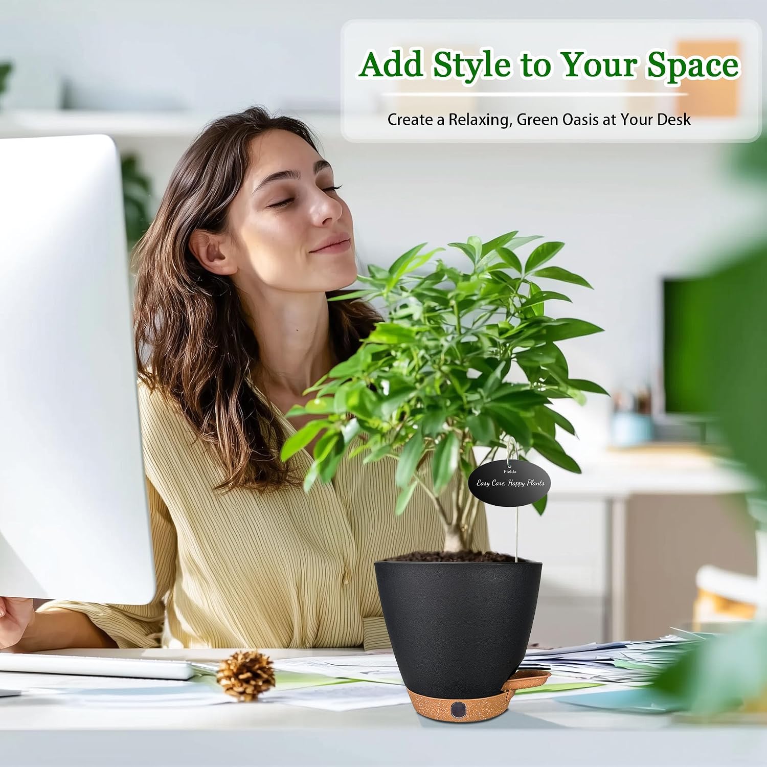 Small Self-Watering Pots, 5 Pack, 6 inch