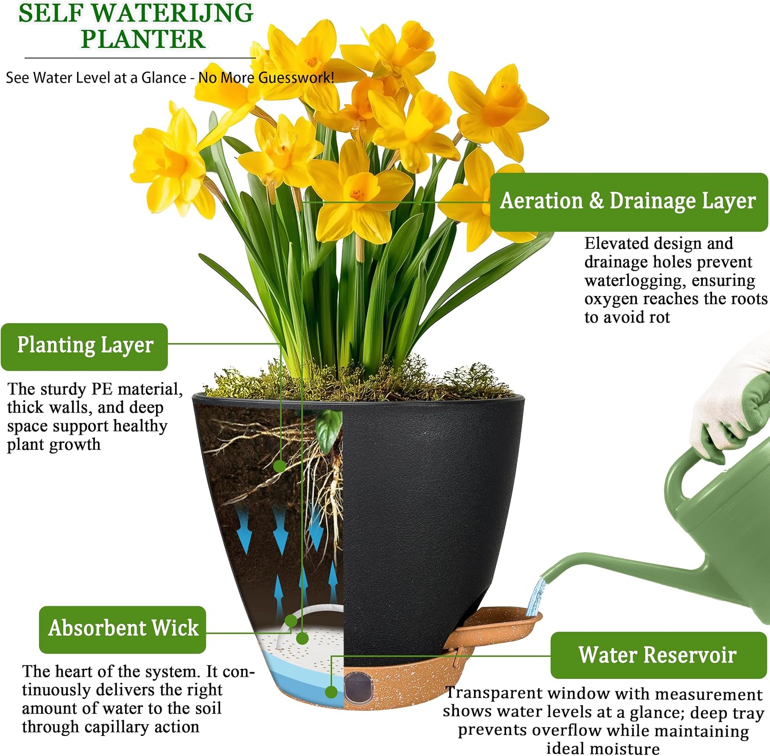 Small Self-Watering Pots, 5 Pack, 6 inch