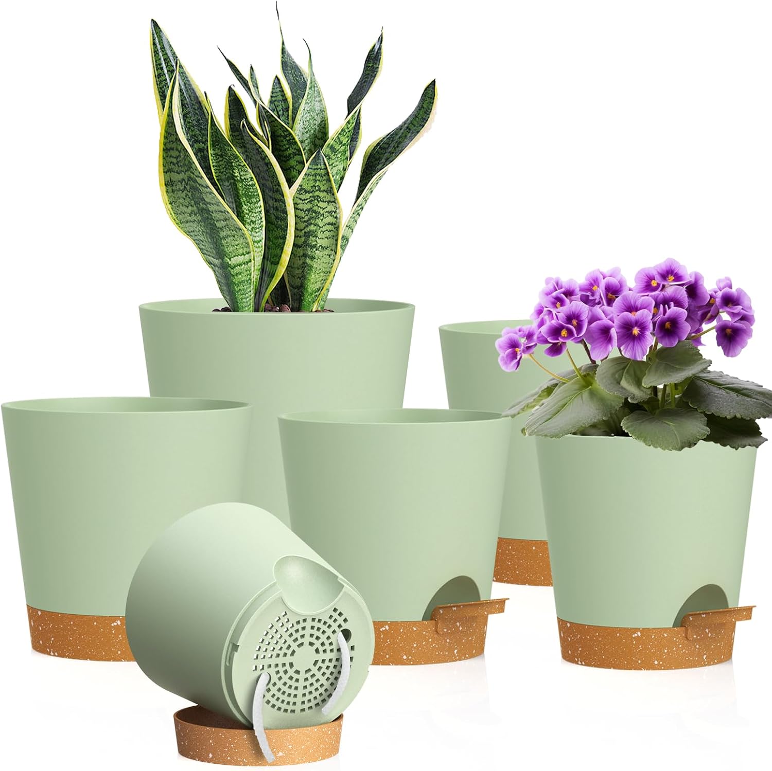 Small Self-Watering Pots, 6 Pack, 4 inch