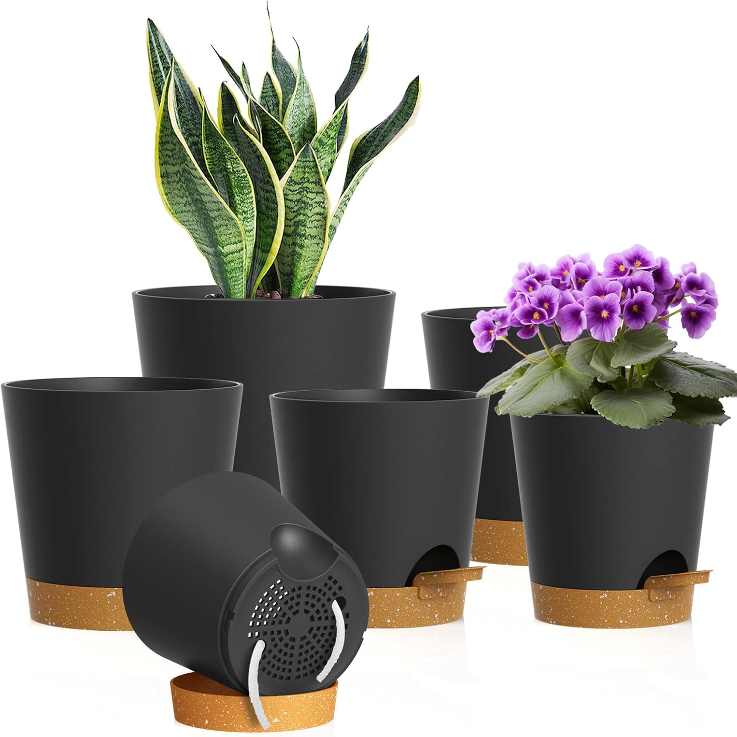 Small Self-Watering Pots, 6 Pack, 4 inch