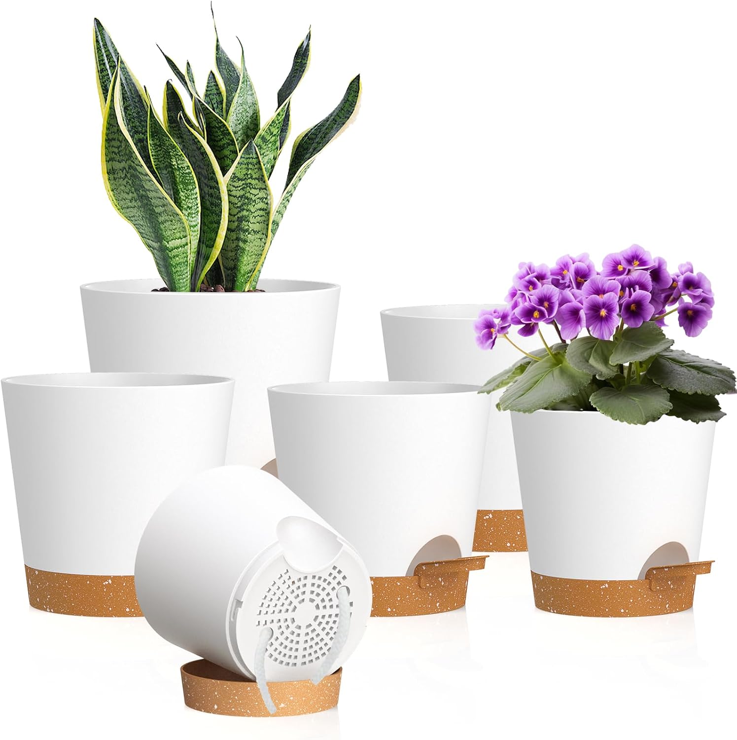 Small Self-Watering Pots, 6 Pack, 4 inch