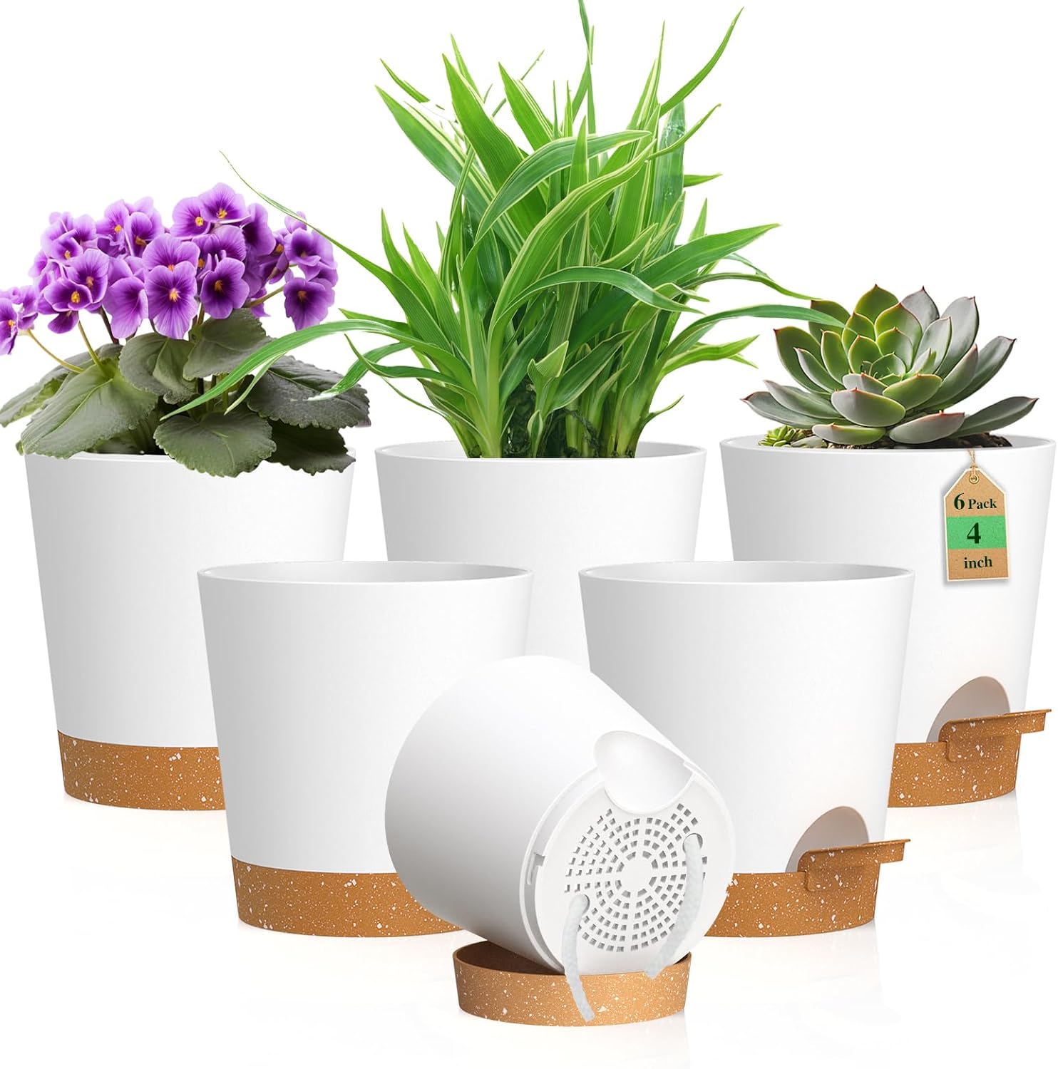Small Self-Watering Pots, 6 Pack, 4 inch