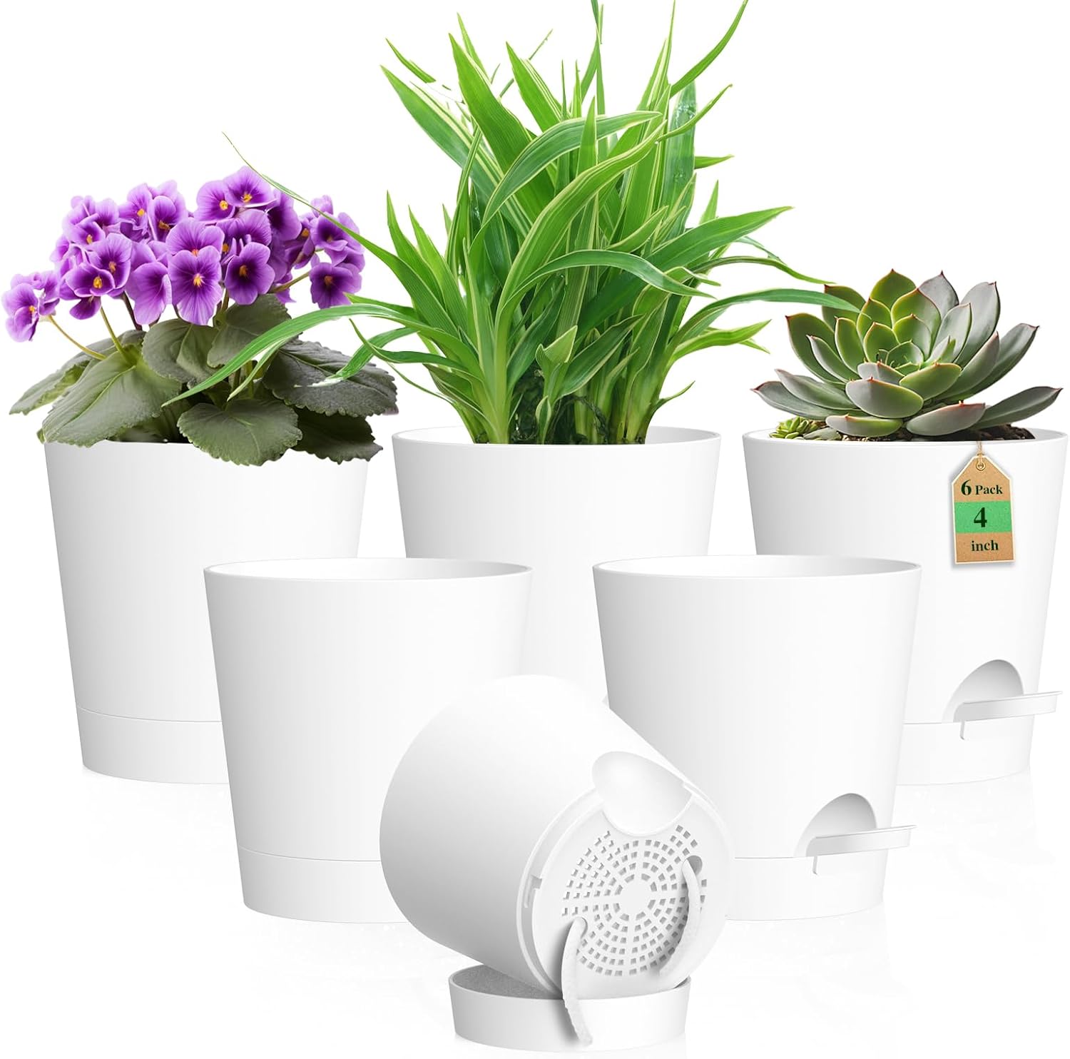 Small Self-Watering Pots, 6 Pack, 4 inch