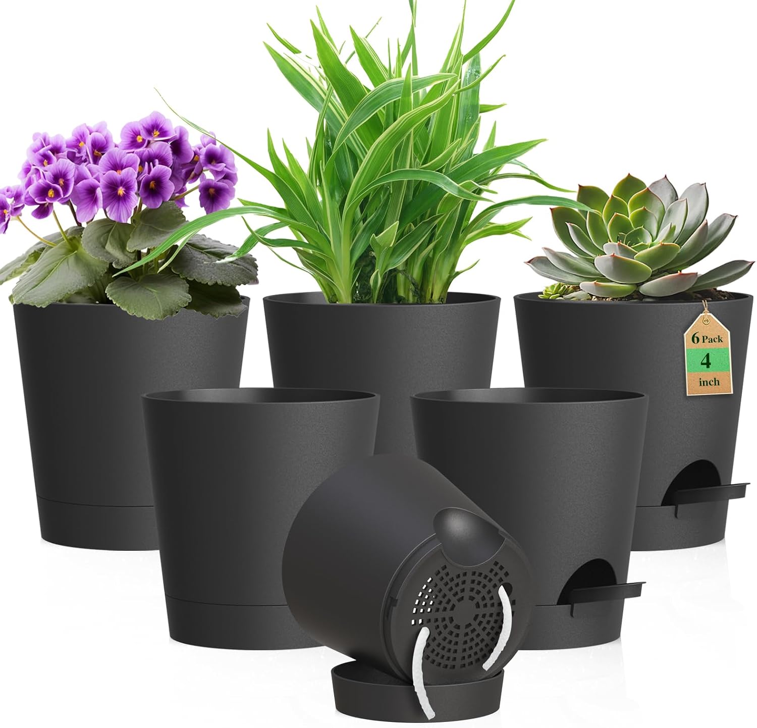 Small Self-Watering Pots, 6 Pack, 4 inch