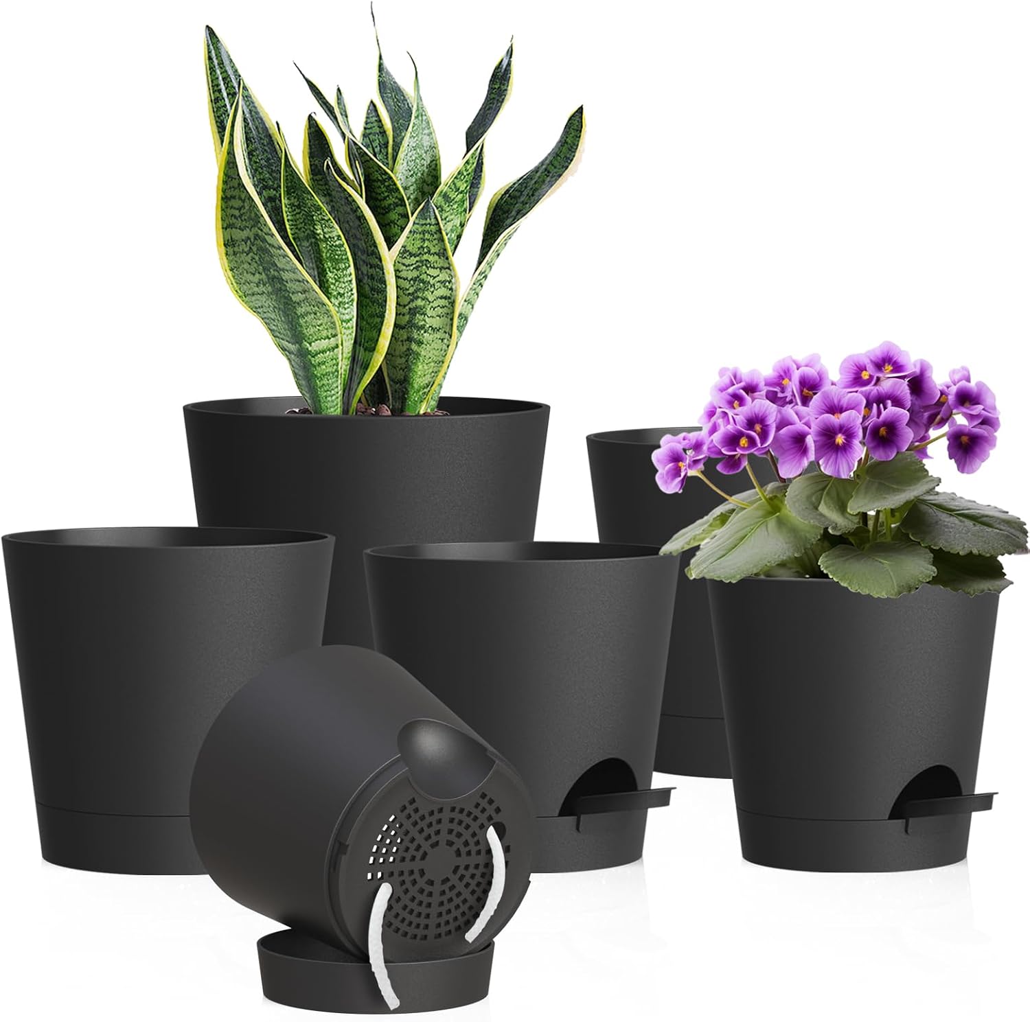 Small Self-Watering Pots, 6 Pack, 4 inch