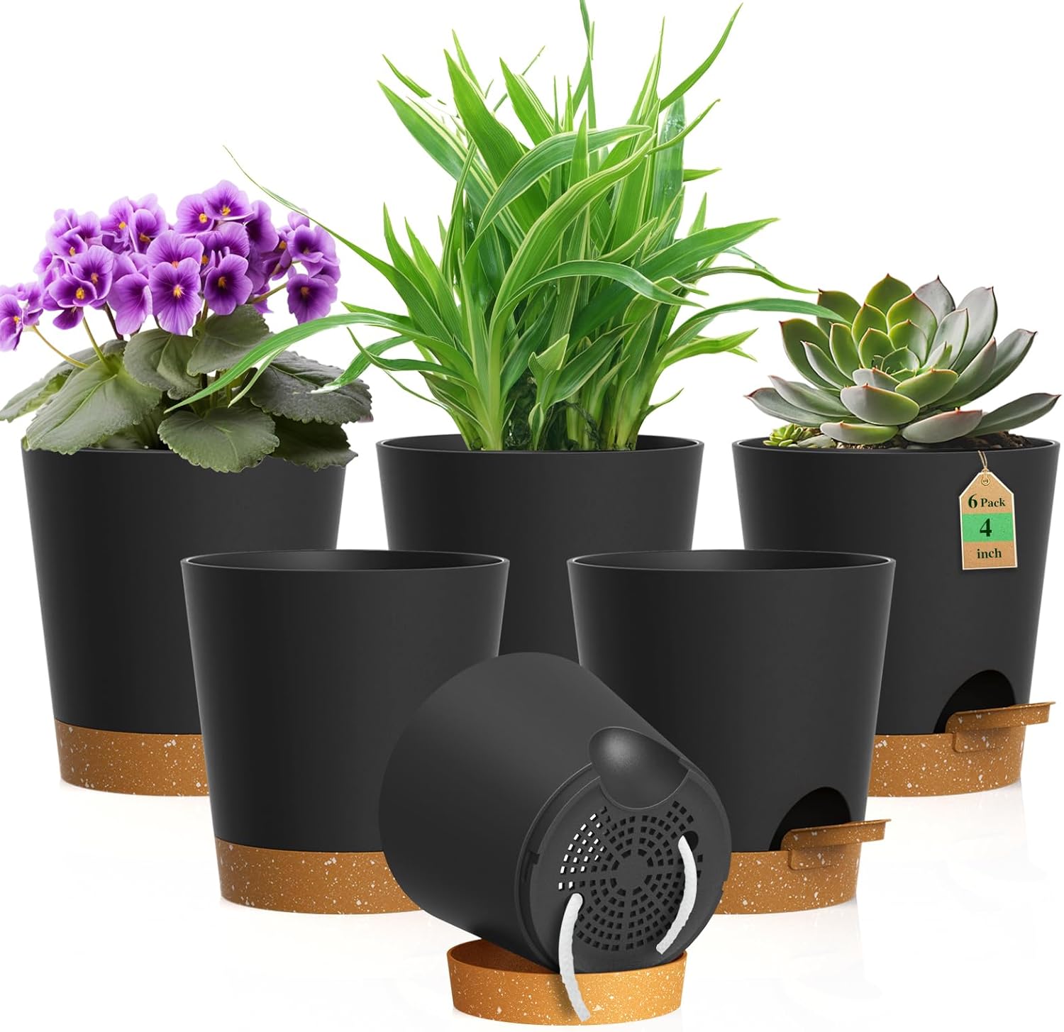 Small Self-Watering Pots, 6 Pack, 4 inch