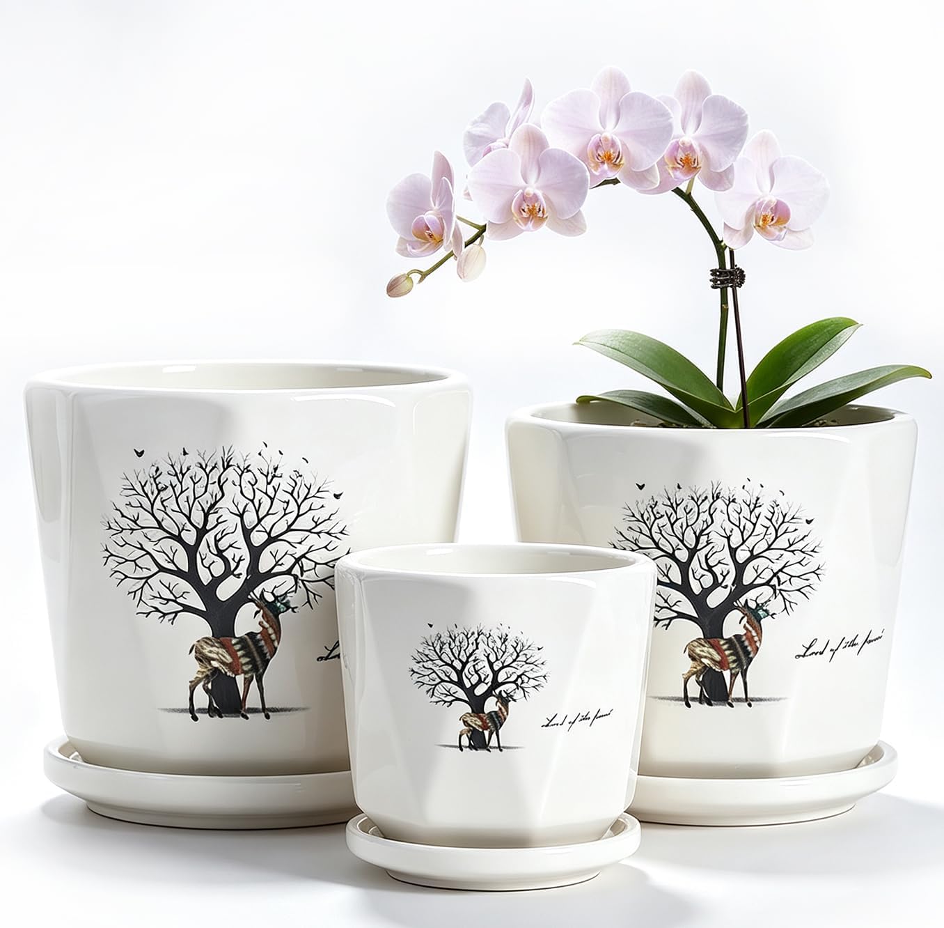 Vintage-Style Round Ceramic Pots with Saucers