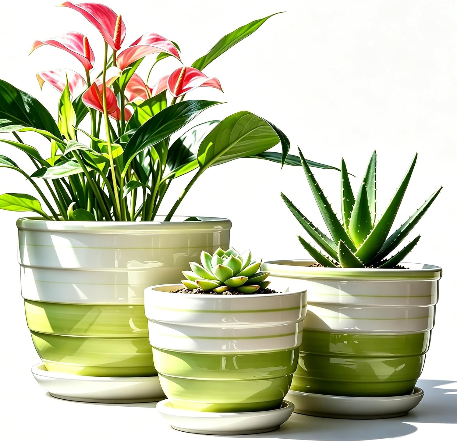 Vintage-Style Round Ceramic Pots with Saucers