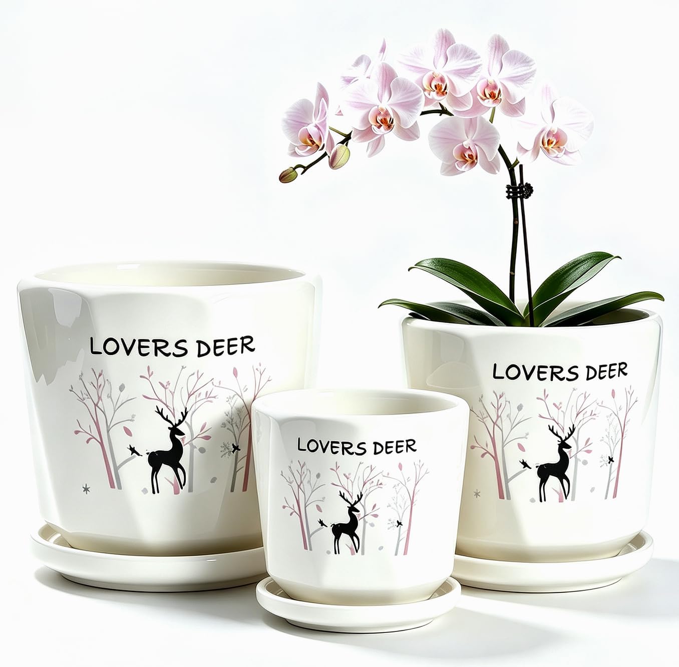 Vintage-Style Round Ceramic Pots with Saucers